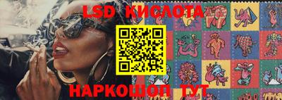mdpv Краснознаменск