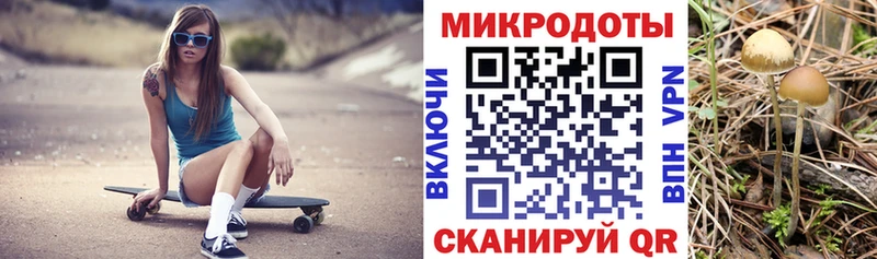 Псилоцибиновые грибы Psilocybine cubensis наркота Прохладный
