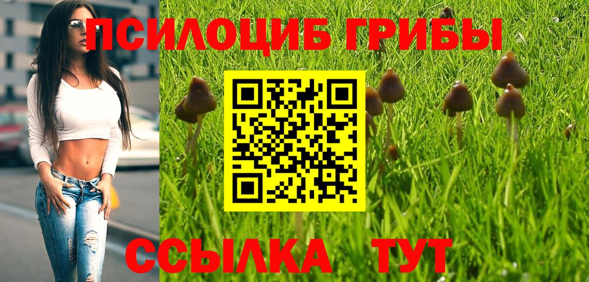 Галлюциногенные грибы мухоморы Прохладный