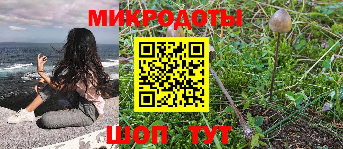 Псилоцибиновые грибы мицелий  Вход с VPN  продажа наркотиков  Галлюциногенные грибы GOLDEN TEACHER  Прохладный 