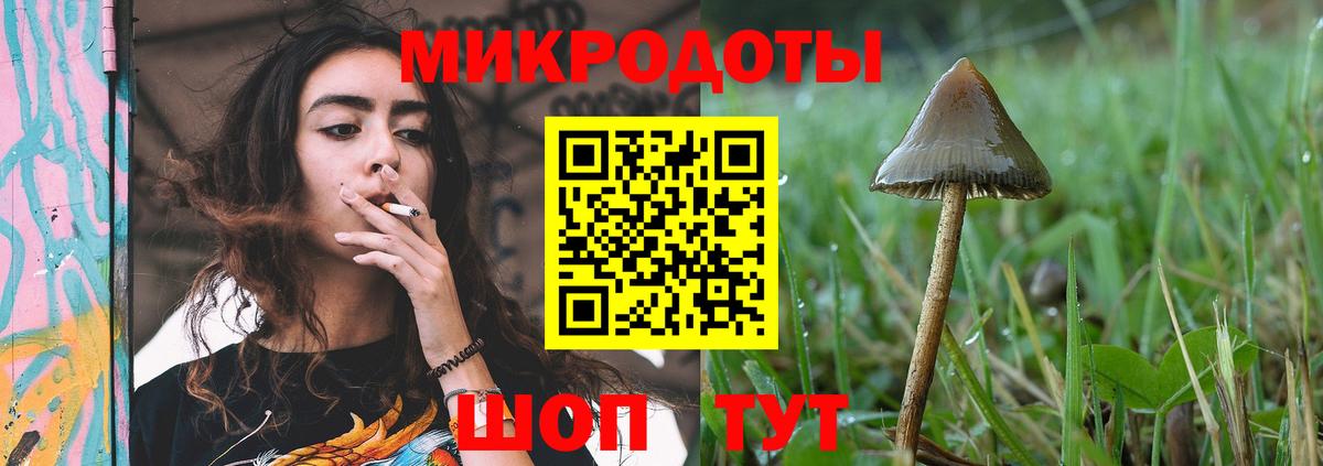 Галлюциногенные грибы Psilocybe  Прохладный 