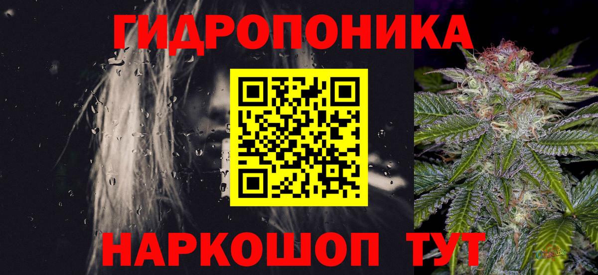 Канабис индика Прохладный